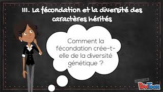 Vidéo bilan chapitre diversité et stabilité génétique des individus problème son résolu [upl. by Kyd360]