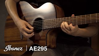 Ibanez AE295 Acoustic Guitar [upl. by Joellyn]