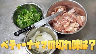 【包丁】ペティーナイフでいろいろ食材は切れるのか？一本でどこまで調理できるの？ [upl. by Henry]