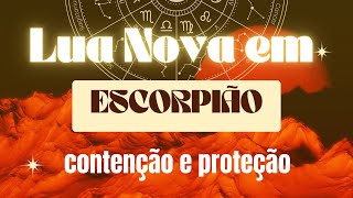 LUA NOVA EM ESCORPIÃO  contenção e proteção [upl. by Efioa78]