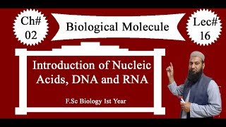 Biology Ch02Lecture16 Introduction of nucleic acid FSc 1st Year [upl. by Naejamron]