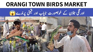 Orangi Town Birds Market  31122023 Latest Update  Lalukhet Birds Market 😱 [upl. by Nylodnew157]