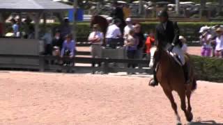 Video of GENEROUS ridden by DAVID OLIYNYK from ShowNet [upl. by Ahseinod167]