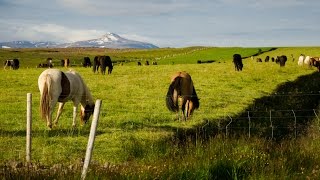 Fjallkonan Iceland [upl. by Zat]