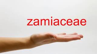 How to Pronounce zamiaceae  American English [upl. by Lawlor]