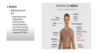 SEMIOLOGIA DEL SISTEMA HEMATOPOYETICO 2024 [upl. by Chlo704]