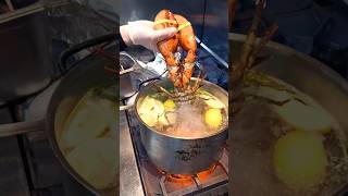 Boiling Lobster boiling lobster [upl. by Keffer]