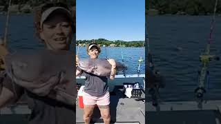 Have You Ever Seen a Woman Catch a Fish This Big hugefish viralshorts shorts [upl. by Hardie109]