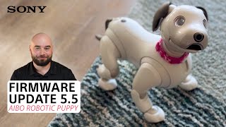 Sony  aibo™ Robotic Puppy – Firmware Update 550 Overview [upl. by Ever]