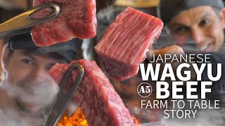 Japanese Wagyu Beef Story from Farm to Table ★ ONLY in JAPAN [upl. by Jallier792]