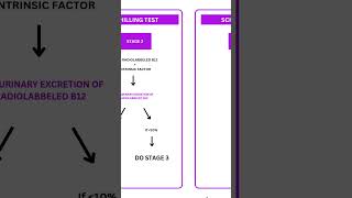 SCHILLING TEST  PATHOLOGY RAPID REVISION [upl. by Acitel]