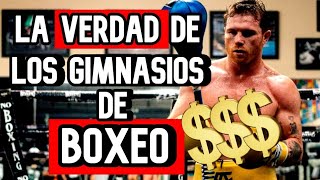 LA VERDAD DE LOS GIMNASIOS DE BOXEO [upl. by Recnal]