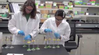 Anaerobic Biodegradation Experiment [upl. by Griffin]