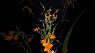 Montbretia Flower Stand Design Videos satisfying flowerdesign [upl. by Abra]