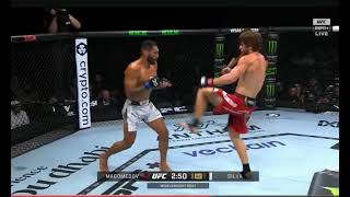 Reaction to Shara Magomedov vs Bruno Silva [upl. by Phionna]