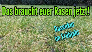 Rasen aus Winterschlaf wecken  Rasenkur im Frühjahr [upl. by Galanti]