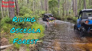 Riding Osceola National Forest [upl. by Nomed611]