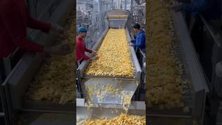 Potato Chips Making In Factory shorts shortvideo making [upl. by Notrem444]