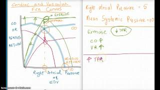 Easy Ways to Understand Cardiac and Vascular Function Curves [upl. by Essej932]