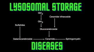 USMLE Step 1  Lesson 69  Lysosomal Storage diseases [upl. by Leafar450]