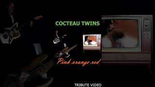 COCTEAU TWINS  PINK ORANGE RED Tribute video [upl. by Cilla]