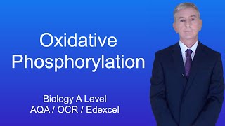 Oxidative Phosphorylation and Substrate Level Phosphorylation [upl. by Ynatsed686]