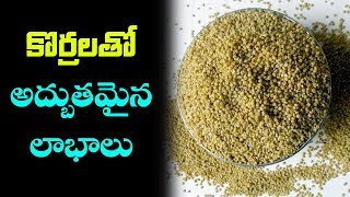 Benefits of Korralu In Telugu  Health Benefits of Foxtail Millets  Life Booster [upl. by Tremann]