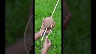 DIY Arrow Slingshot using coconut shelllikeandsubscribe shareshortsvideo [upl. by Ahsot]