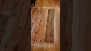 wood floor stain samples  bona puritan pine Jacobean early American golden oak [upl. by Storer]