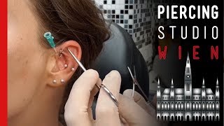 💉 TRIMIX Piercing 💉 das seltenste Ohrpiercing überhaupt 💉 Marcs Piercing TV [upl. by Xena]