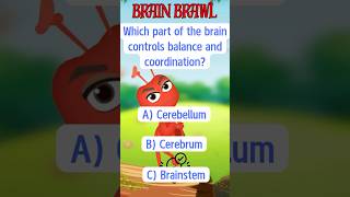 Can You Answer This Brain Teaser  Fun Central Nervous System Quiz 🧠 [upl. by Durarte711]