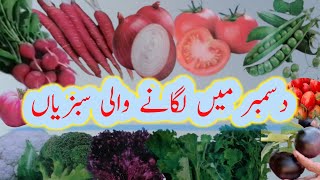 These vegetables to plant at home in decemberDecember me lagane wali sabjiyanwinter vegetables [upl. by Redneval848]