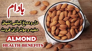 Badam k faedy  Almond Health Benefits [upl. by Zavras]