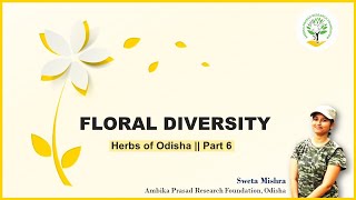 Floral diversity  Part 6  Lamiaceae  Ambika Prasad Research Foundation [upl. by Eniamrahs]