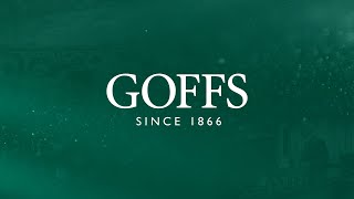 Goffs  Punchestown Sale 2024 [upl. by Ahseenyt207]