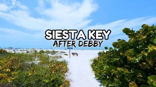 Siesta Key after HURRICANE DEBBY  Florida Flooding Update  Lido Beach Conditions [upl. by Ddej247]