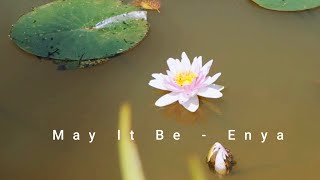 May It Be  Enya  Lord of the Rings Soundtrack  Waterlily [upl. by Ettenan]