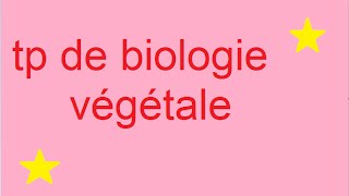 TP BIOLOGIE Végétale [upl. by Nakada]