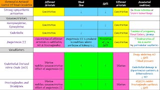 Hormonal amp Autacoid control of Renal Circulation Chapter 27 part 5 Guyton and Hall Physiology [upl. by Grail706]