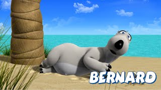 🐻‍❄️ BERNARD  What does BERNARD do during the summer Full Episodes  VIDEOS and CARTOONS FOR KIDS [upl. by Notsreik]