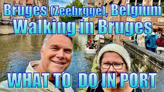 Bruges Zeebrugge Belgium  Walking in Town  What to Do on Your Day in Port [upl. by Branen]