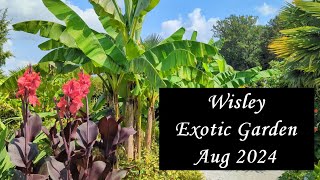 RHS Wisley Garden Exotic Garden short Tour August 2024 [upl. by Nylak]