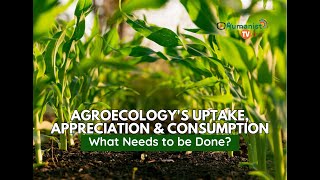 Agroecologys Uptake Appreciation and Consumption  What Needs to be Done [upl. by Ardnatal]