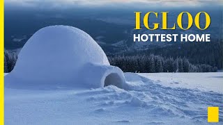 How An Igloo Keeps You Warm [upl. by Francyne]