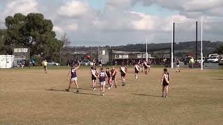 Geelong FNL Round 4  Grovedale vs St Marys [upl. by Jopa]