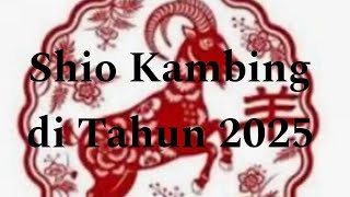 Shio Kambing di Tahun 2025 [upl. by Tychonn]