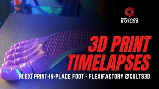 3D Printing Time Lapse  FlexiFoot  Ender 3 PRO Octolapse [upl. by Lleznod]