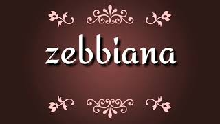 ZEBBIANA Lyrics video skusta clee [upl. by Eerok]