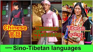 Some SinoTibetan languages compared  Mandarin chinese vs Burmese vs Tibetan  Verbale Mondo [upl. by Diandra199]