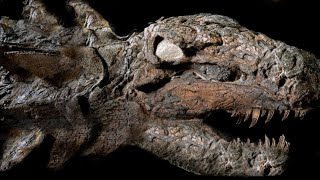 10 Most AMAZING Fossil Discoveries Ever Made [upl. by Berman]